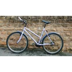 PROFESSIONAL TRAKATAK MTB