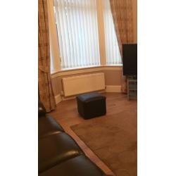 Lined curtains