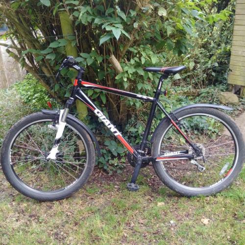 Giant Revel mountain bike