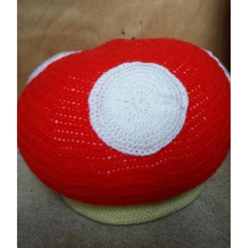 Mario Mushroom Bean Bag