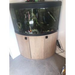 Fluval 190 litre corner tank **COMPLETE SET UP**