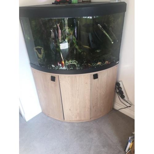 Fluval 190 litre corner tank **COMPLETE SET UP**