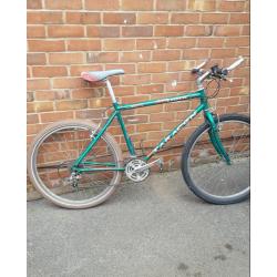 Mens mountain bike
