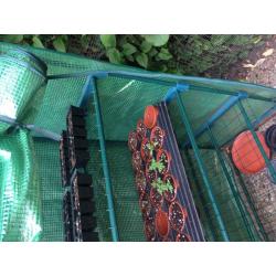 4 Tier Grow Rack / Mini Green House