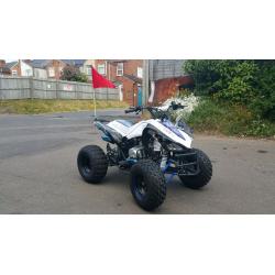 BRAND NEW 125CC QUAD BIKE 8 INCH WHEELS LAST FEW REMAINING ONLY