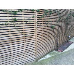 Contemporary 6x6ft trellis/fencing panels, pressure treated timber