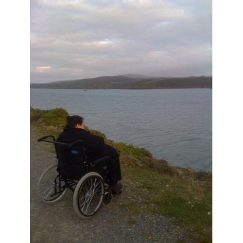 Assistant/ Companion/Driver/Support Worker