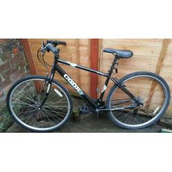 Adult bike