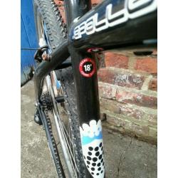 Adult bike