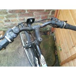 Adult bike