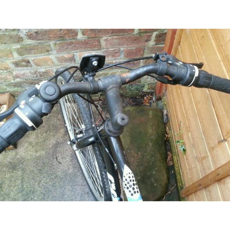 Adult bike