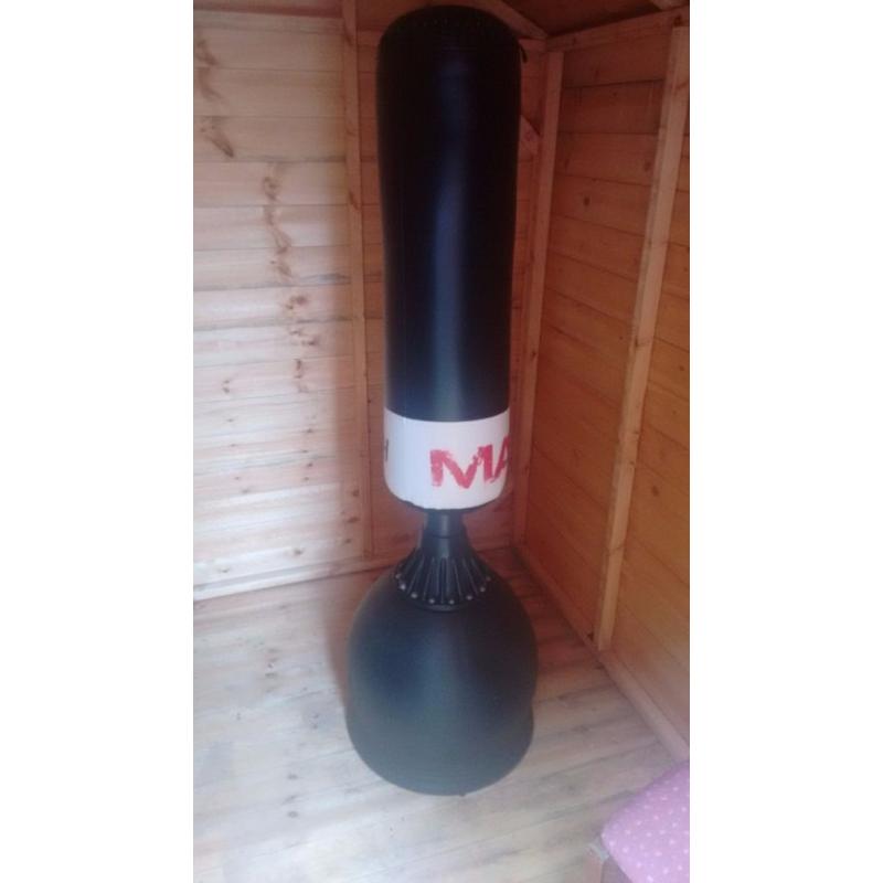 Free standing punch bag