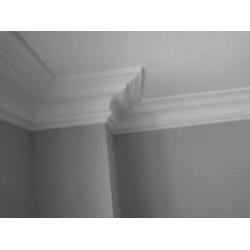 PLASTERER AVAILABLE !