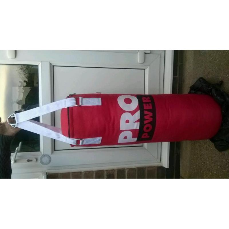 Punch bag