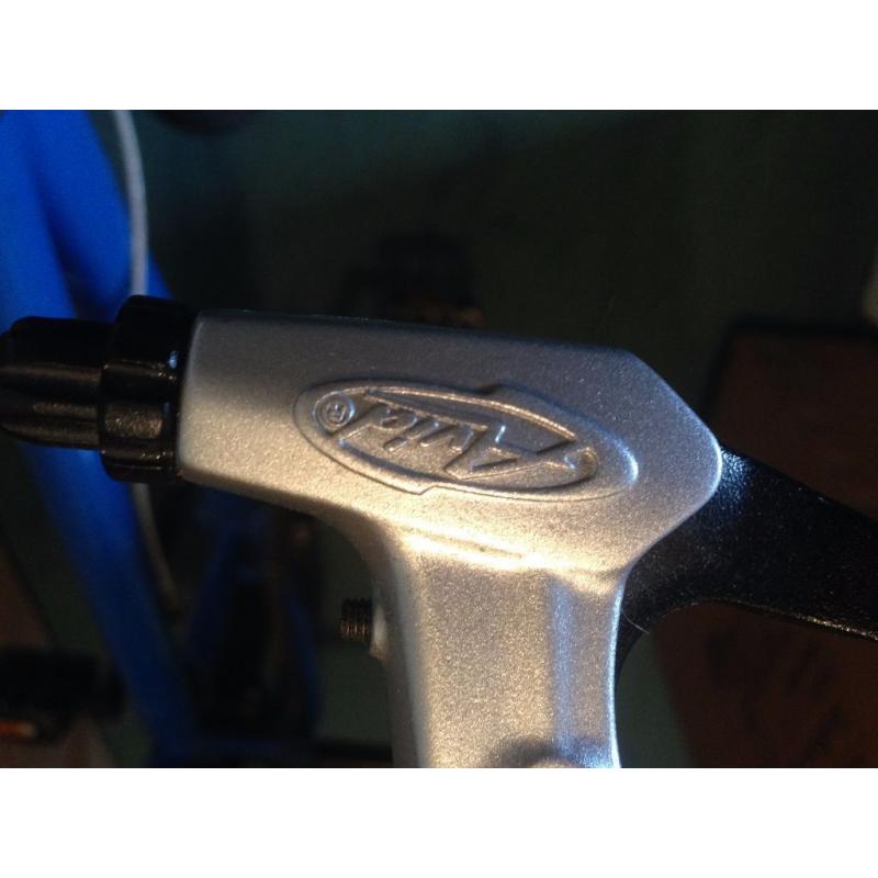BMX Mongoose Bicycle