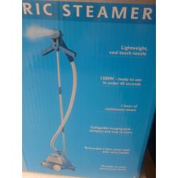 Clothes & Fabric Steamer professional clean