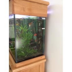 Aquarium On Oak Cabinet 150 cm / 330 L