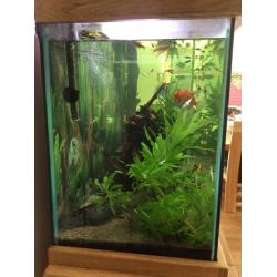 Aquarium On Oak Cabinet 150 cm / 330 L