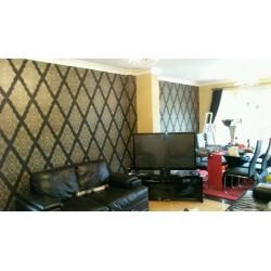 Female painter and decorator
