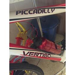 Vertigo bike