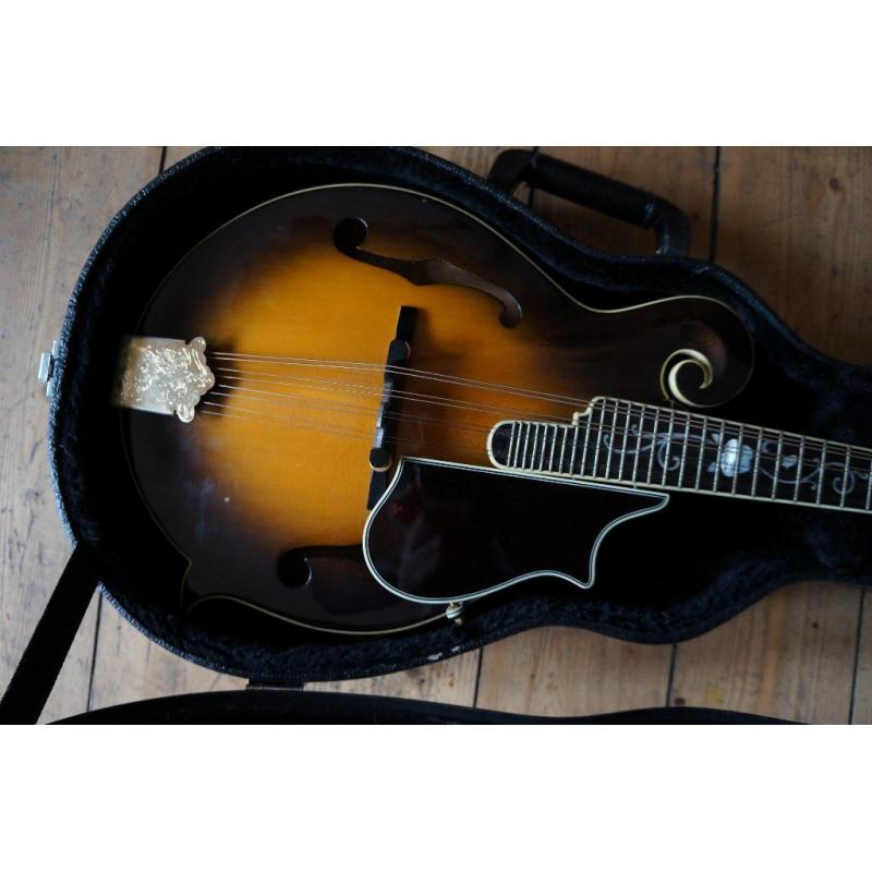 OZARK F Type MANDOLIN.. rare fretboard only 260