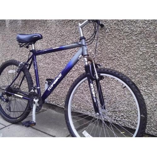 adult mountain bike - all working condition