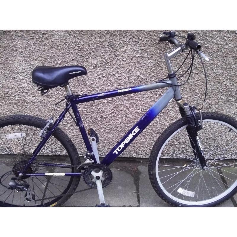 adult mountain bike - all working condition