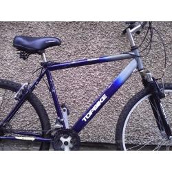 adult mountain bike - all working condition
