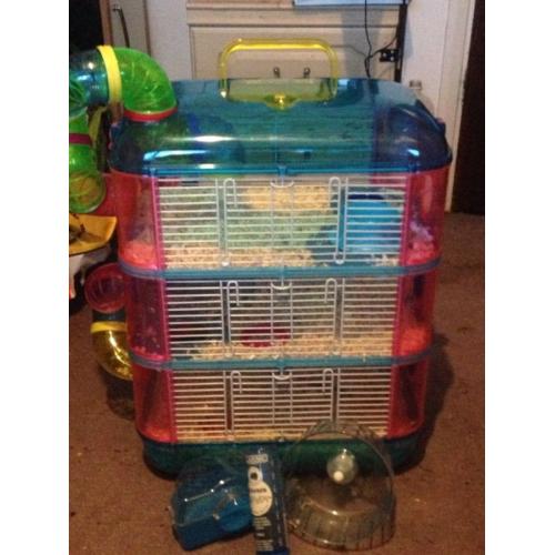 Hamster cage