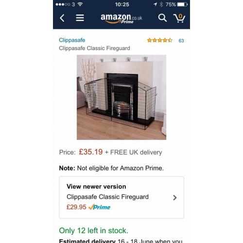 Large Fireguard