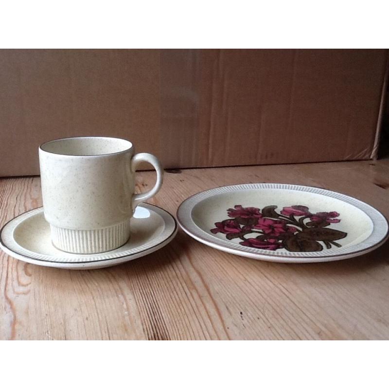 6 Retro Poole Pottery tea plates in Cyclamen pattern on Broadstone