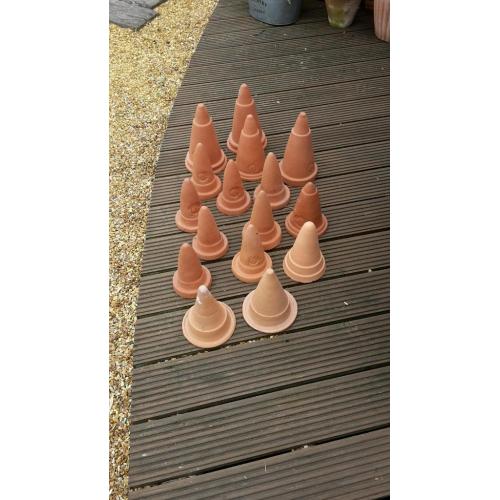 Discuss / Angel breeding cones