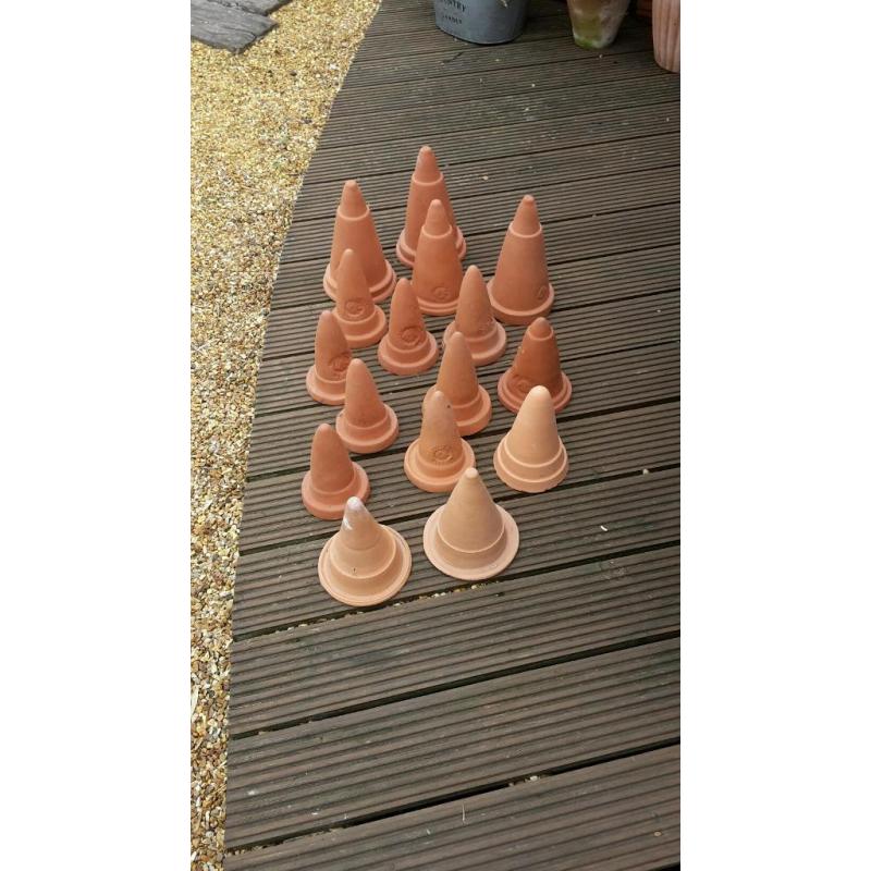 Discuss / Angel breeding cones