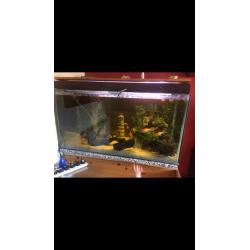 **Fish tank**