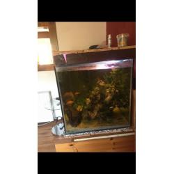 **Fish tank**