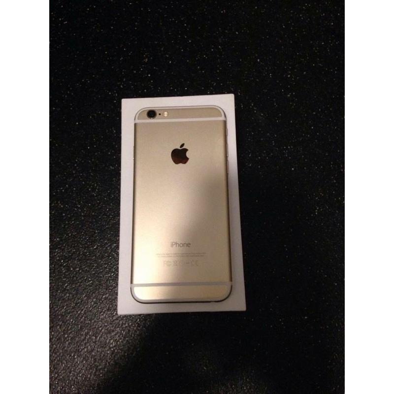 iphone 6