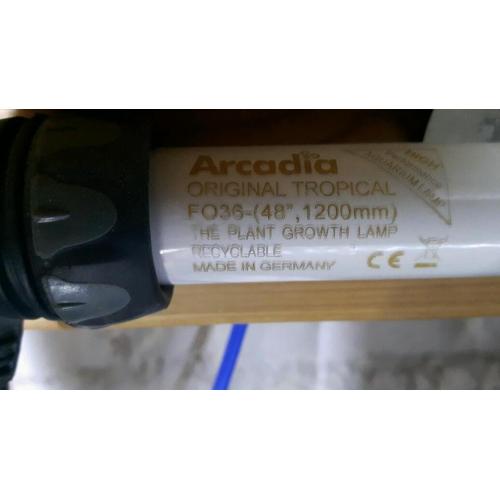 Arcadia twin lighting unit with bulbs