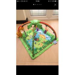 Fisher price baby play mat gym