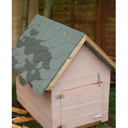 Rabbit hutch/dog kennel