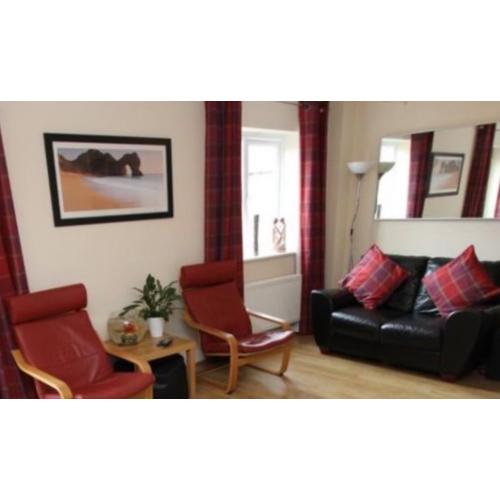 Next curtains & matching cushions