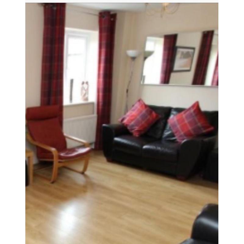 Next curtains & matching cushions