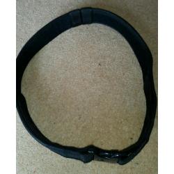 Viper Services Utility belt
