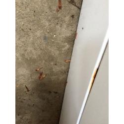 Indesit washing machine