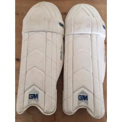 GM Catalyst 707 Batting Pads