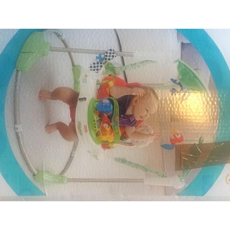 Fisher-Price Baby Jumperoo