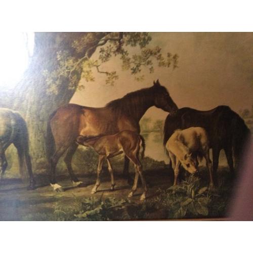 Print of George Stubbs "Mares and Foals" in gold frame for sale