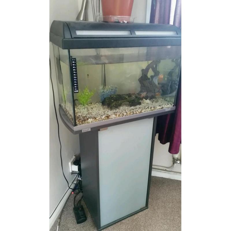 tetra fish tank and stand