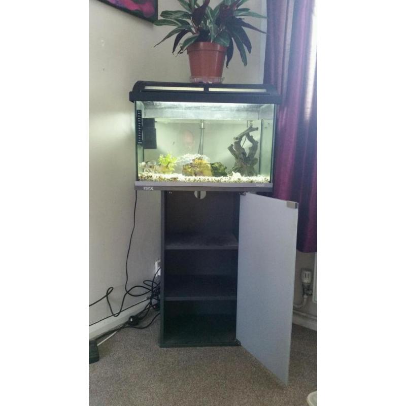 tetra fish tank and stand