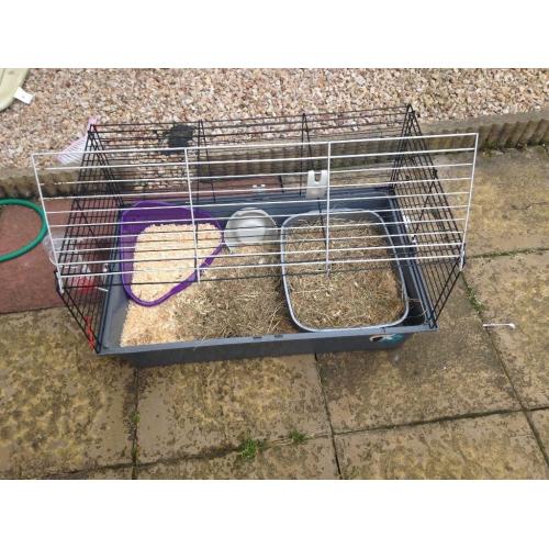 Indoor rabbit hutch with accessories and BNIB outdoor run