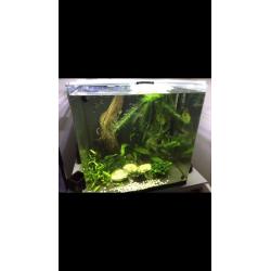 Square FISH TANK (lots of extras)
